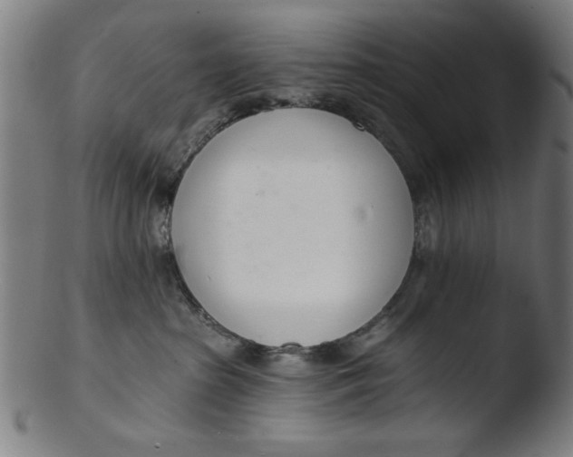 X0000103420285200809261714