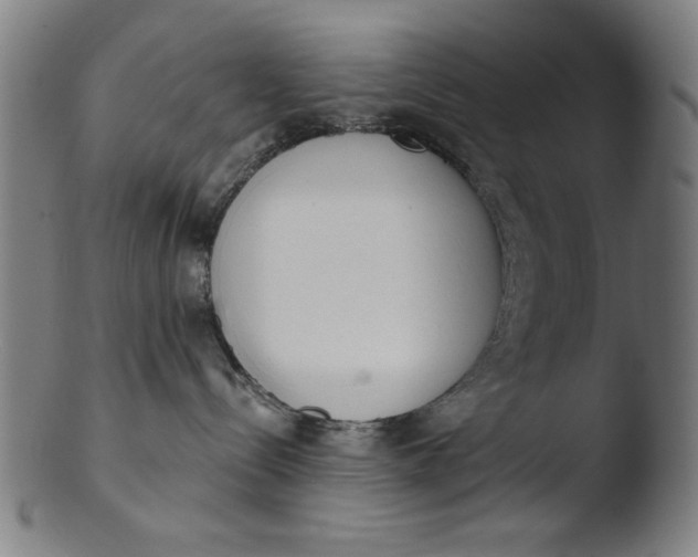 X0000103420288200809261714