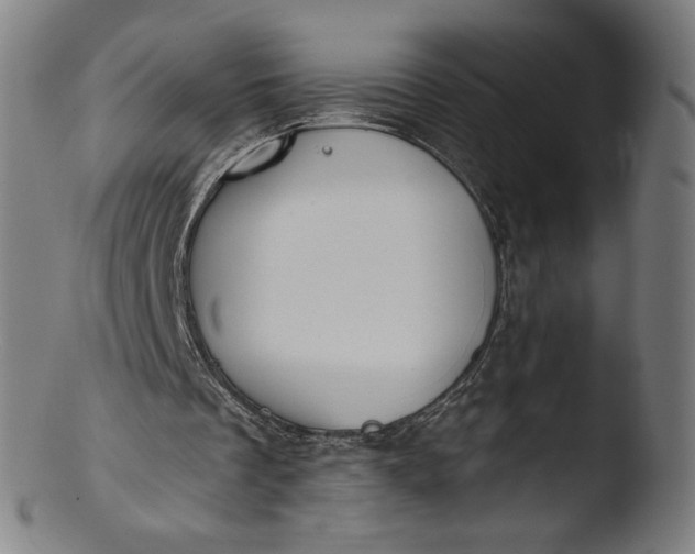 X0000103420289200809261714