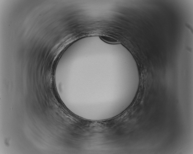 X0000103420290200809261714