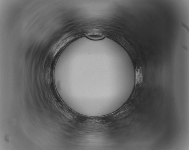 X0000103420291200809261714