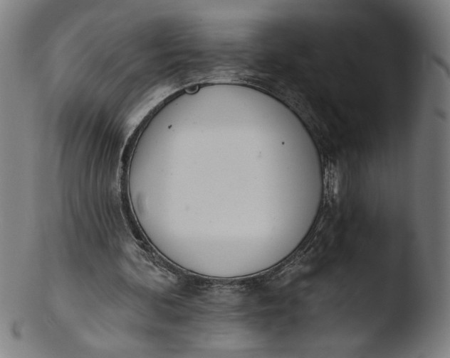 X0000103420292200809261714