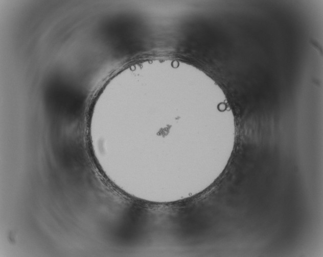X0000103420293200809261714