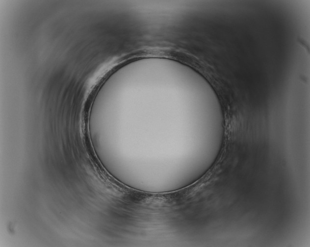 X0000103420294200809261714