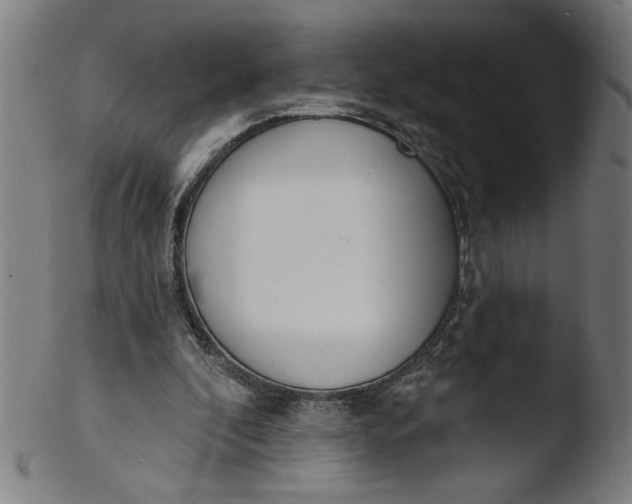 X0000103420296200809261714