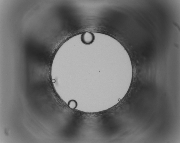 X0000103420297200809261714