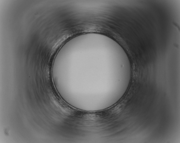 X0000103420298200809261714