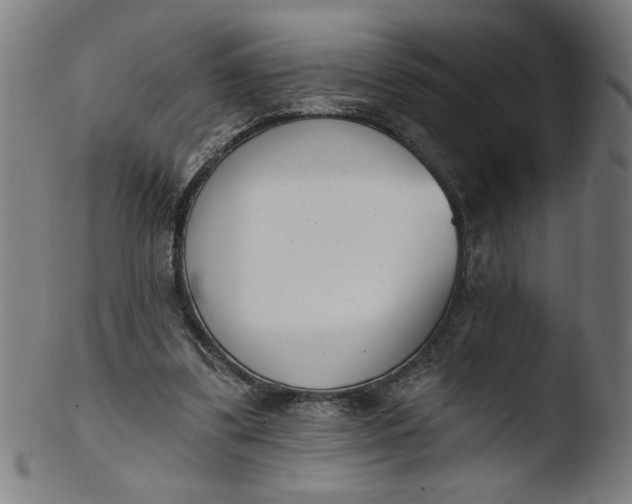 X0000103420299200809261714