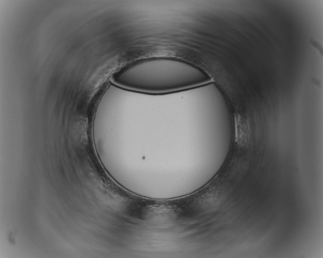 X0000103420300200809261714