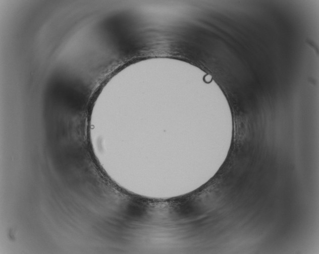 X0000103420301200809261714