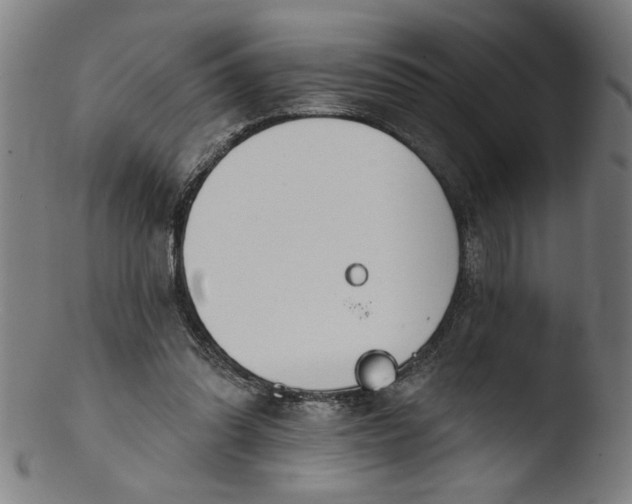 X0000103420302200809261714