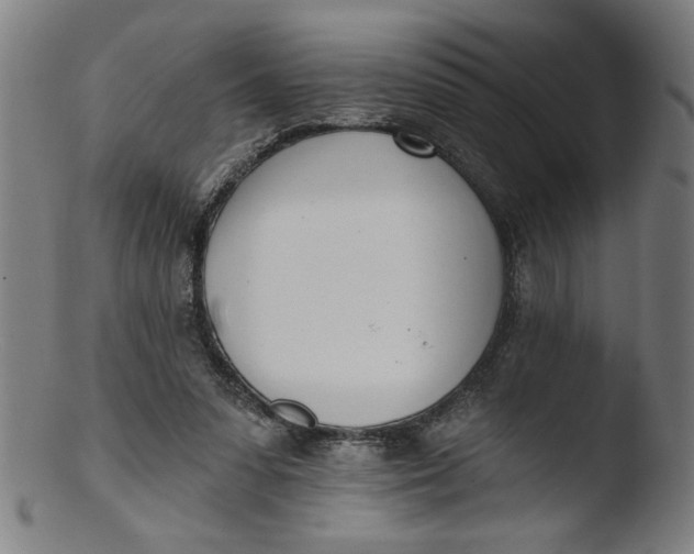 X0000103420303200809261714