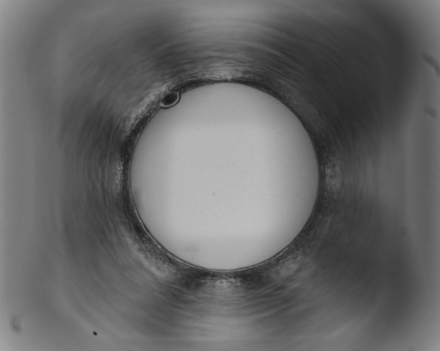 X0000103420304200809261714
