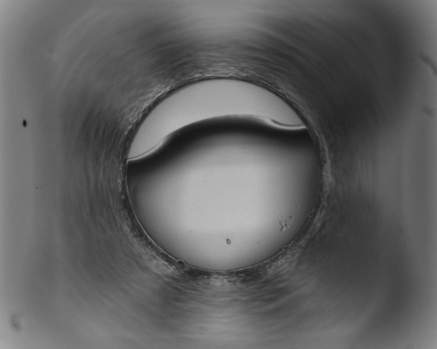 X0000103420305200809261714