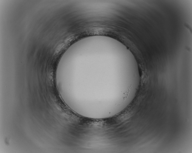X0000103420306200809261714