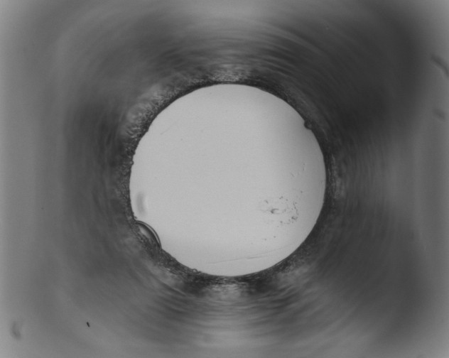 X0000103420307200809261713