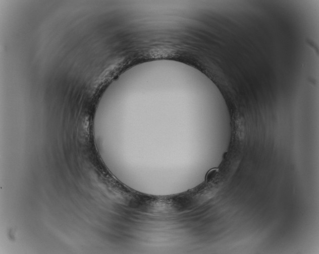 X0000103420308200809261713