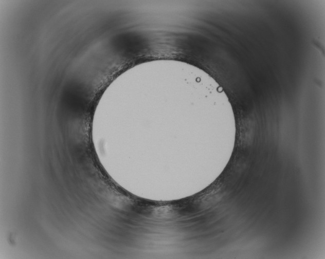 X0000103420309200809261713