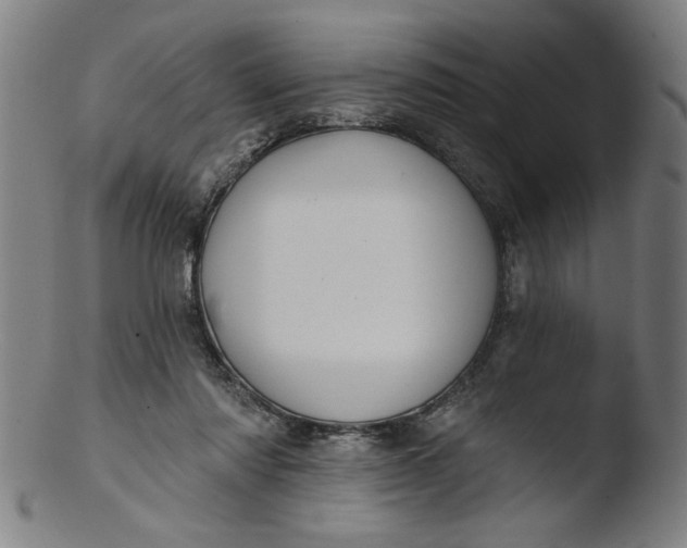 X0000103420310200809261713