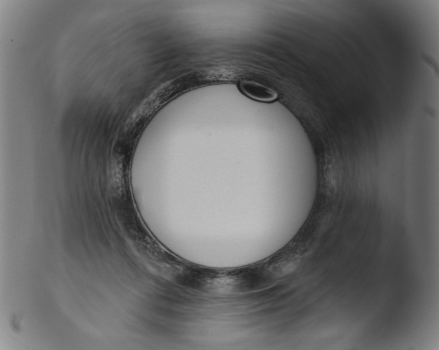 X0000103420312200809261713