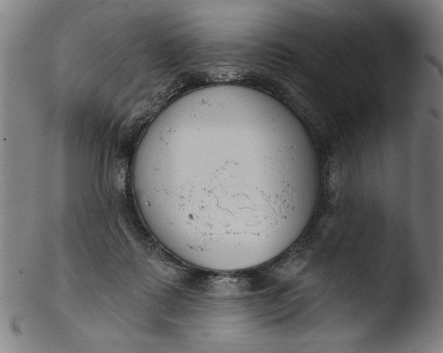 X0000103420315200809261713