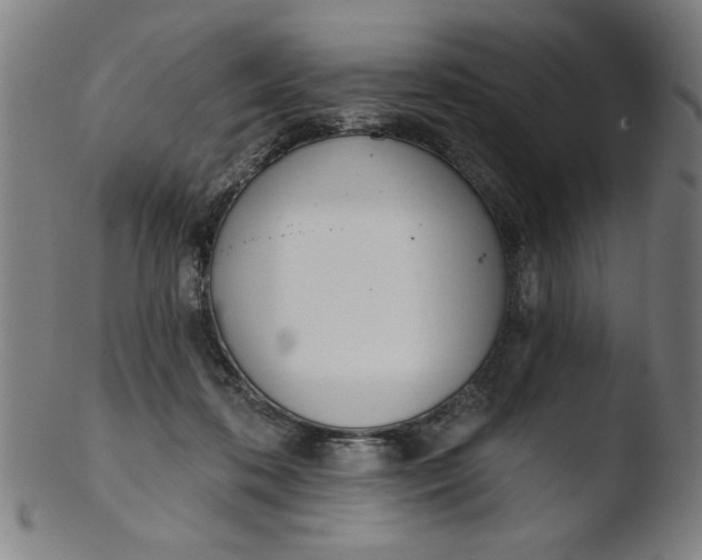 X0000103420316200809261713
