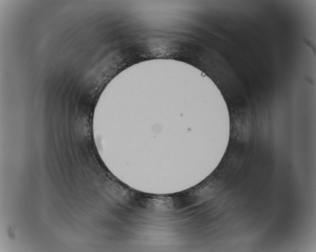 X0000103420317200809261713