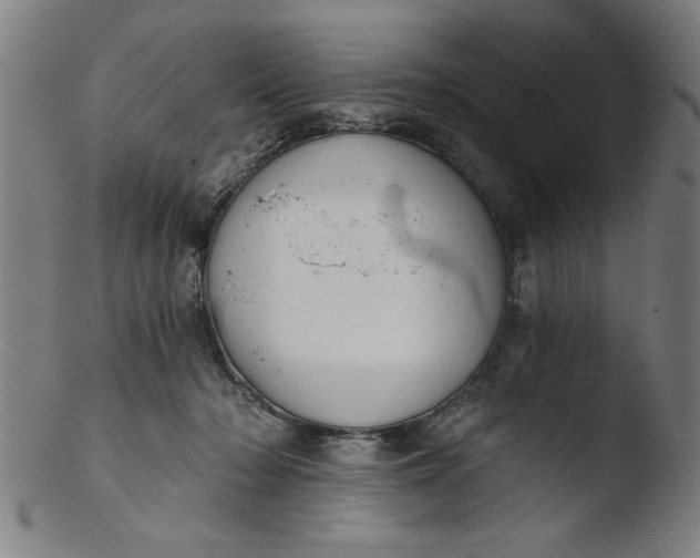 X0000103420318200809261713