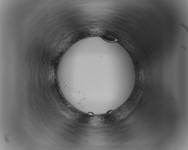X0000103420320200809261713