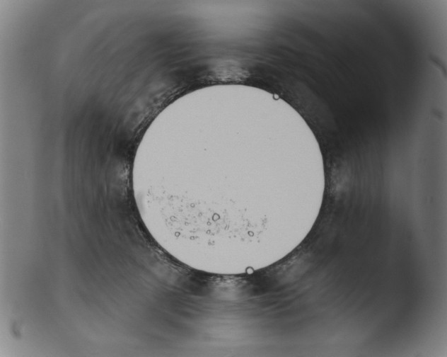 X0000103420321200809261713