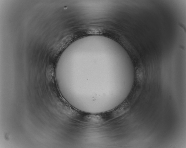 X0000103420322200809261713