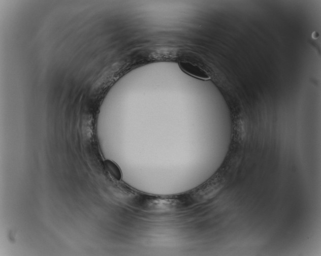 X0000103420323200809261713
