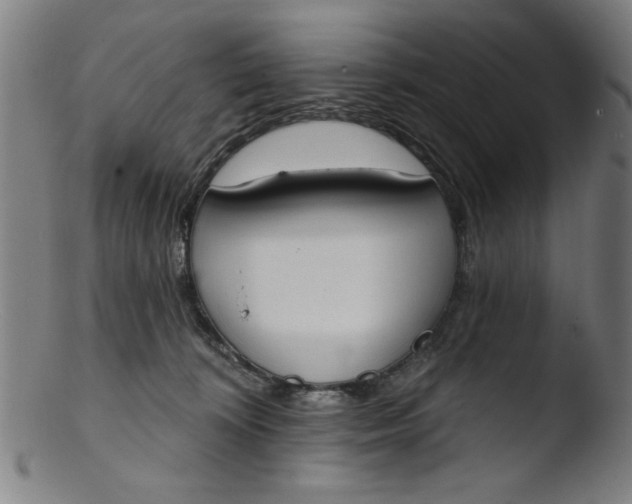 X0000103420324200809261713