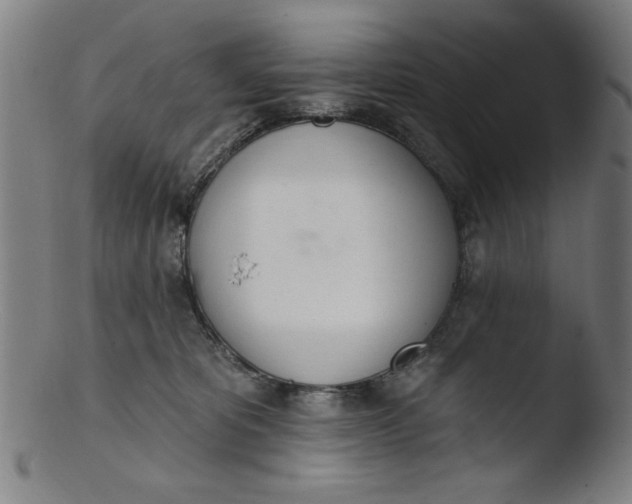 X0000103420325200809261713
