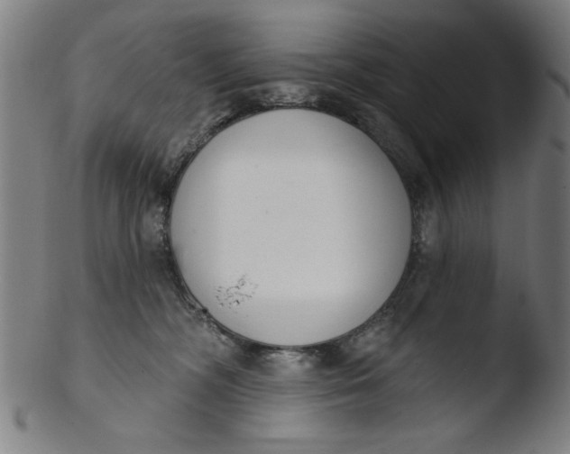 X0000103420326200809261713