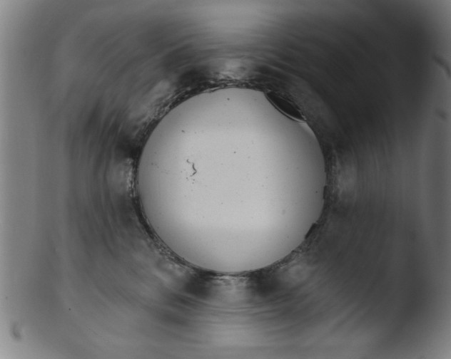 X0000103420328200809261713