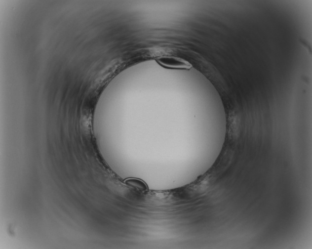 X0000103420329200809261713