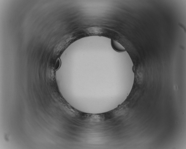X0000103420330200809261713