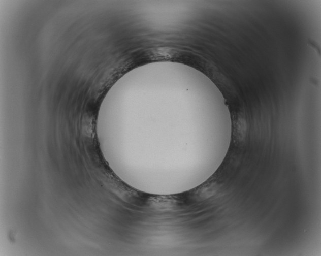 X0000103420331200809261713