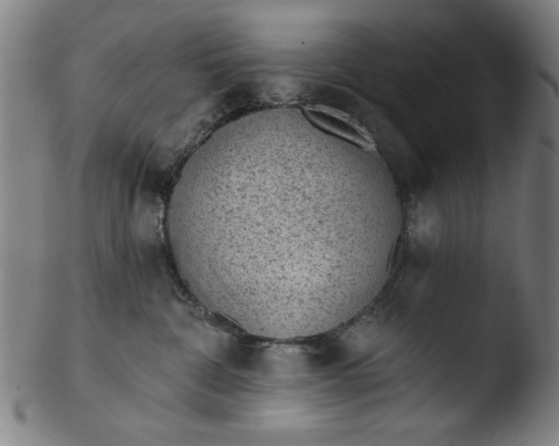 X0000103420332200809261713