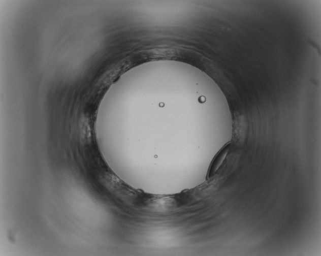 X0000103420333200809261713