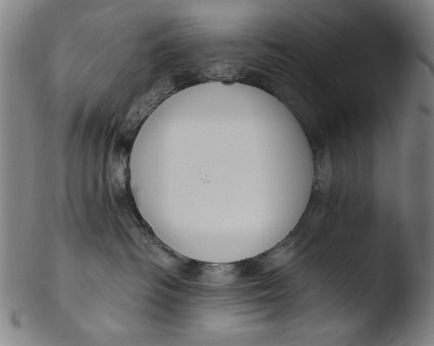 X0000103420334200809261713