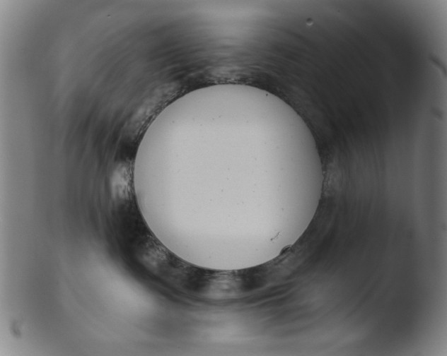 X0000103420335200809261713