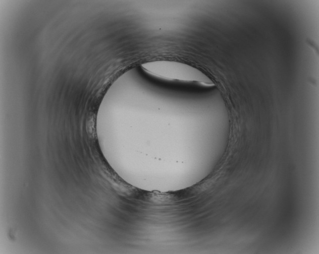 X0000103420336200809261713