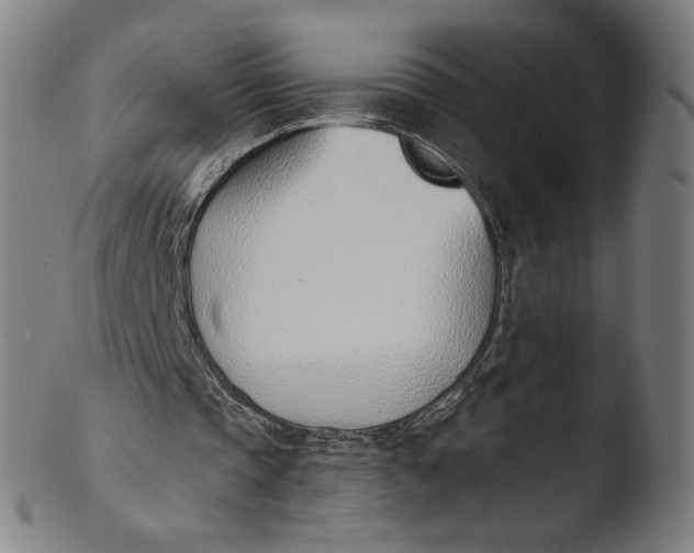 X0000103420337200809261712