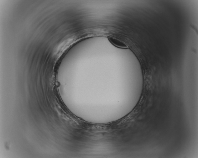X0000103420338200809261712
