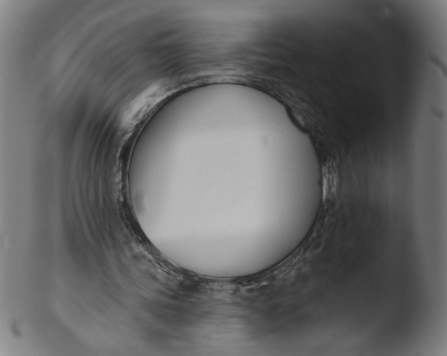 X0000103420339200809261712