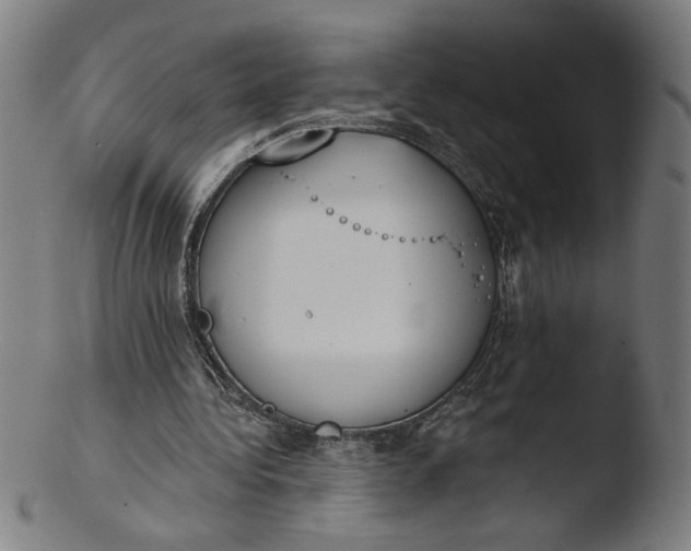 X0000103420340200809261712