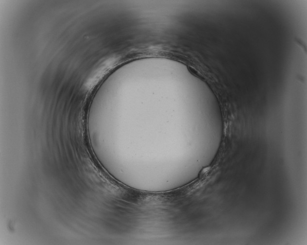 X0000103420341200809261712