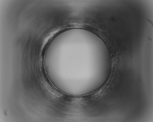 X0000103420342200809261712